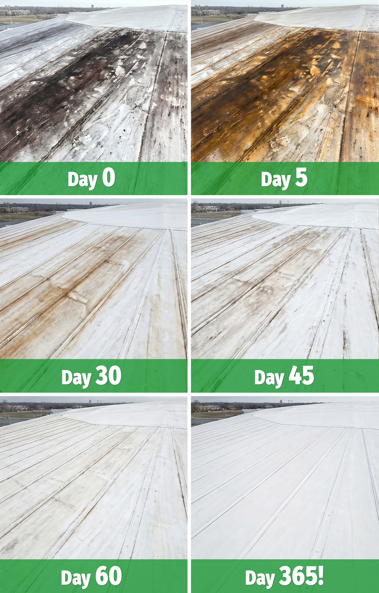 Commercial exterior transforming over time after treatment